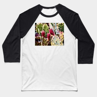 Texas Cactus Fantasy Baseball T-Shirt